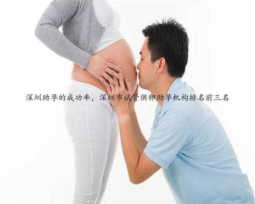 深圳助孕的成功率，深圳市试管供卵助孕机构排名前三名